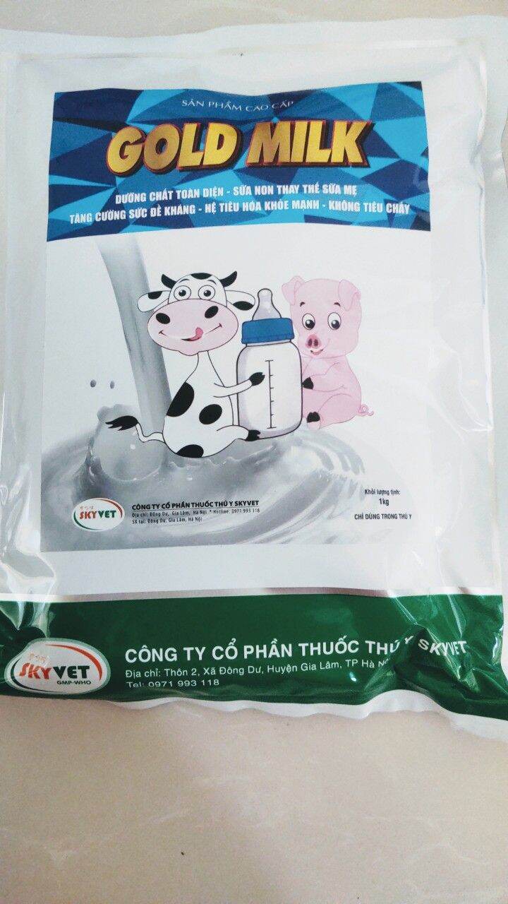 Gold Milk- sữa non thay thế sữa mẹ