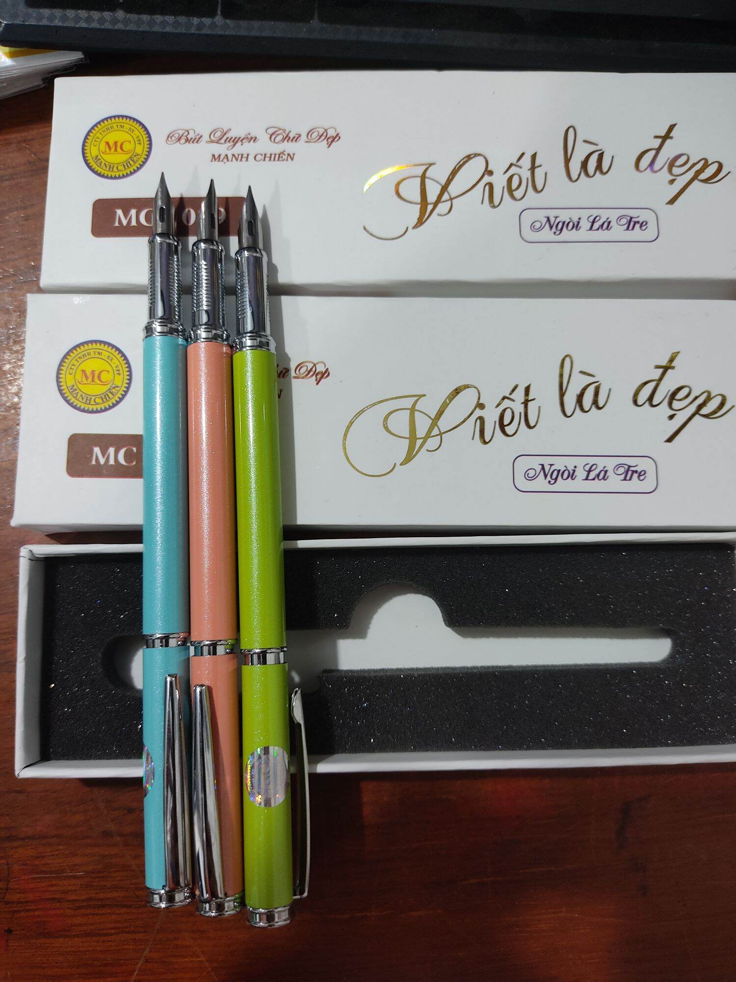 Bút máy ngòi lá trẻ Mạnh Chiến