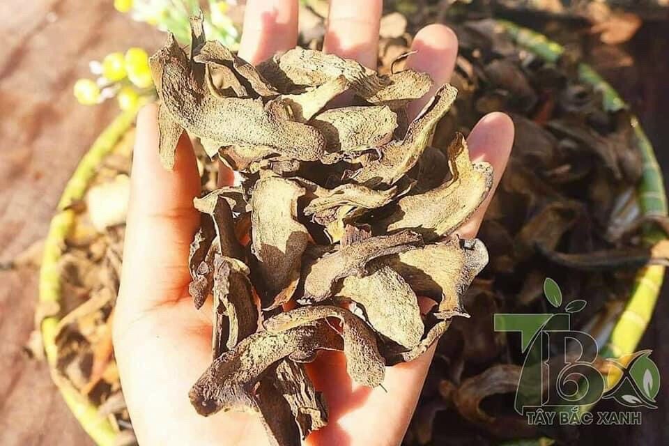 Cốt toái bổ ( tắc kè đá) khô 1kg