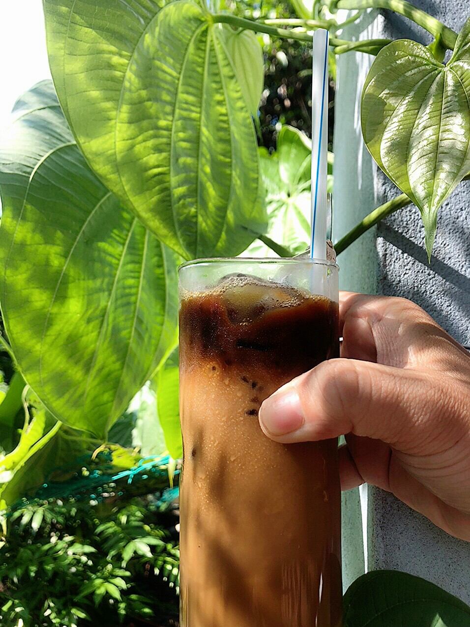 500g culi Robusta, (rang bơ) cà phê hạt s 18