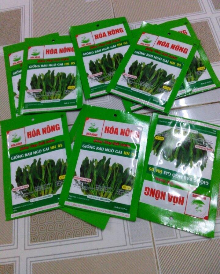 Hạt rau ngò gai thu hoạch quanh năm