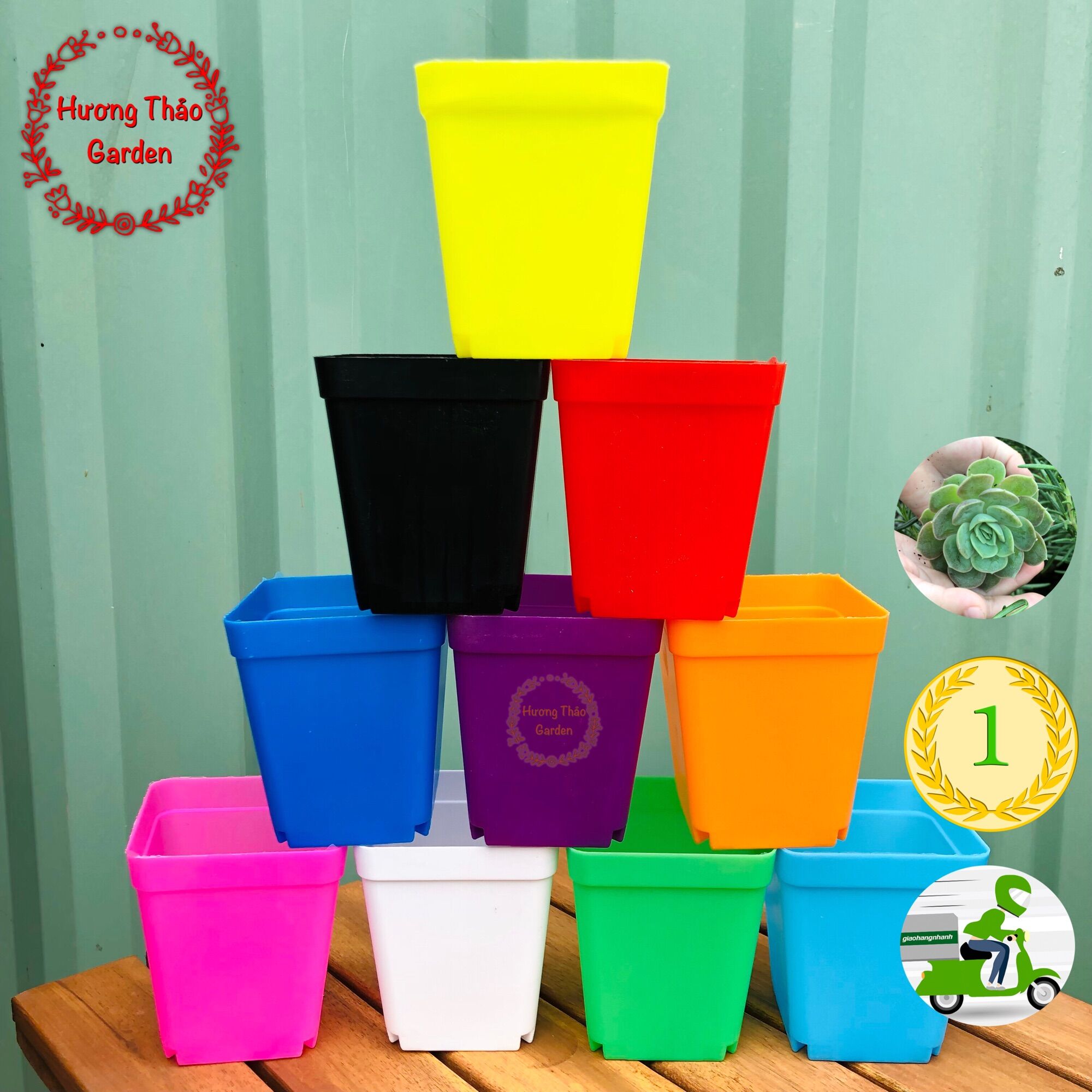 Bộ 10 chậu nhựa dẻo đủ màu trồng sen đá - ươm cây giống kích thước 7x7cm