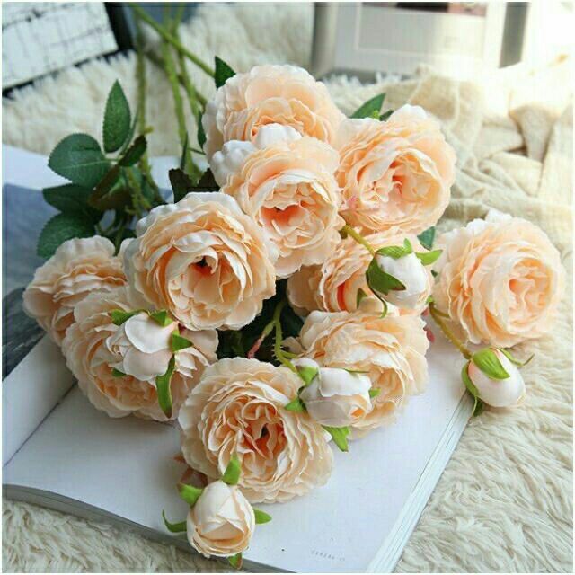 Cành Hồng trà mao vương 2 bông 1 nụ decor
