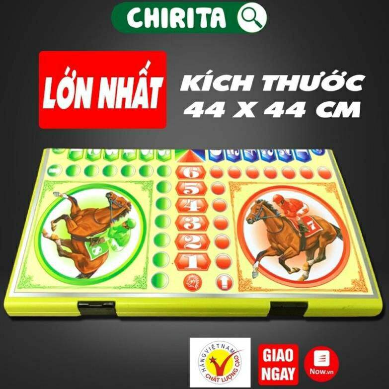 Bộ cờ đua cá ngựa hộp nhựa cứng loại lớn 42cm