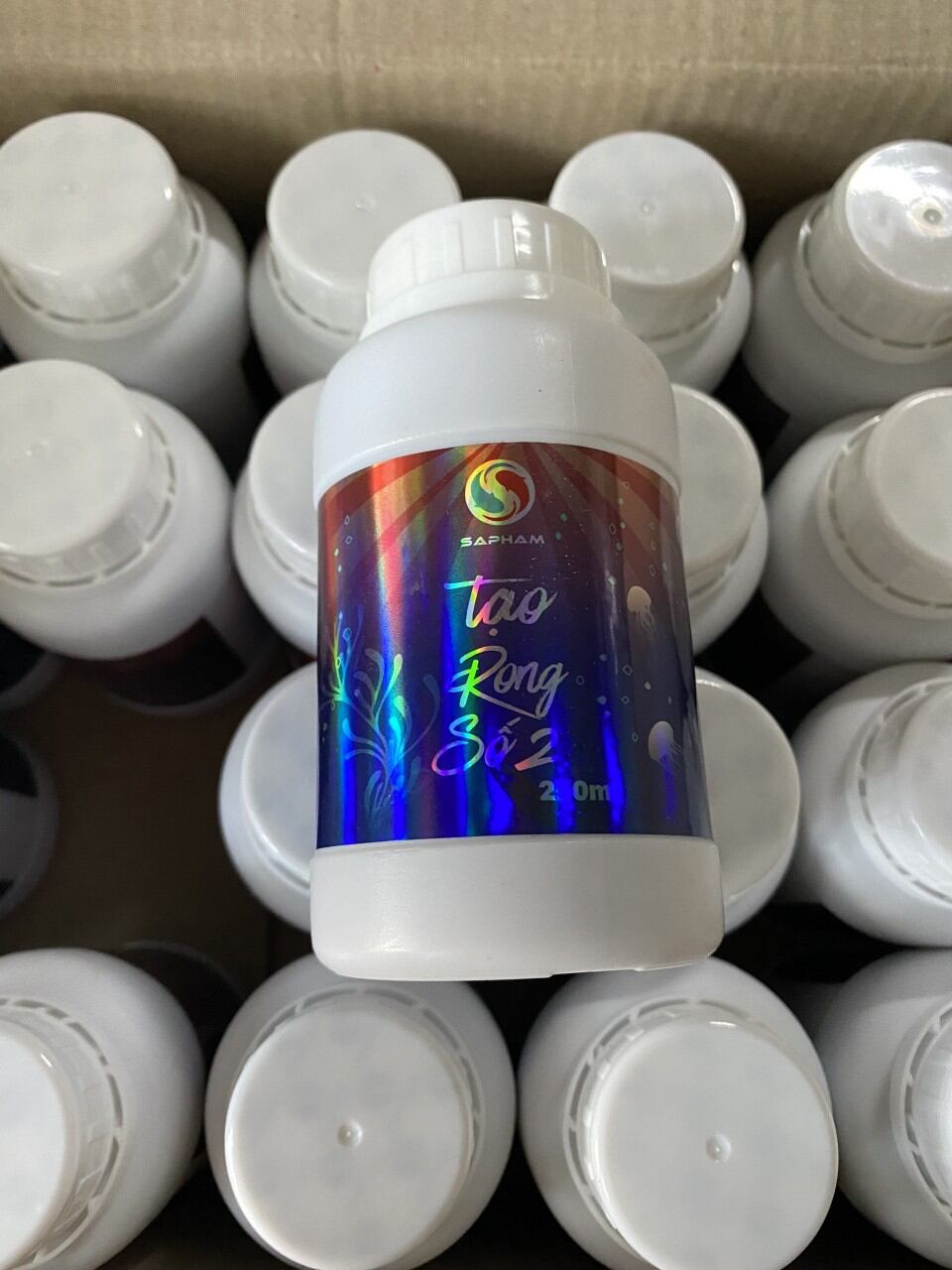 𝐓𝐚̣𝐨 𝐑𝐨𝐧𝐠 𝐒𝐨̂́ 𝟐