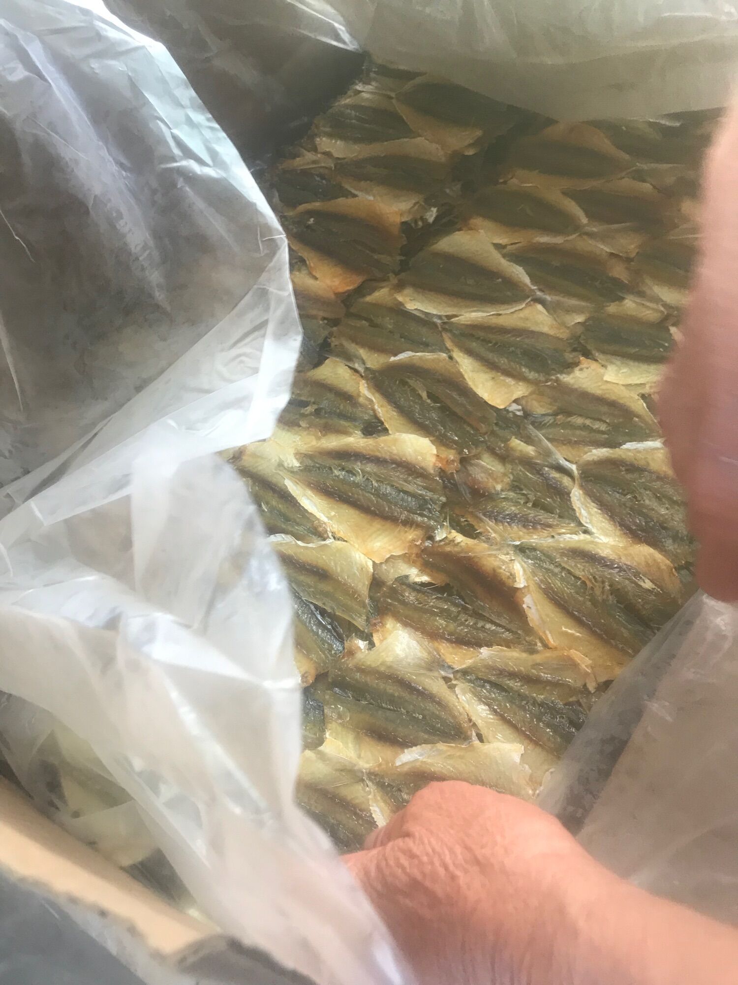 1kg cá chỉ vàng ngon