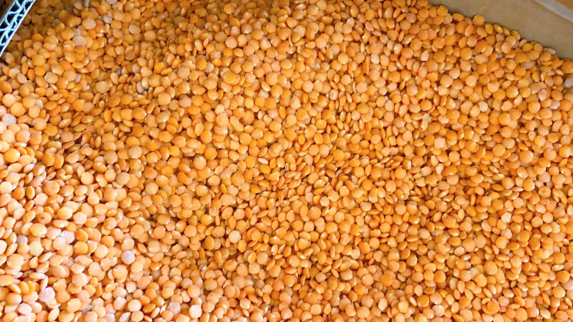500G Đậu lăng đỏ hữu cơ
