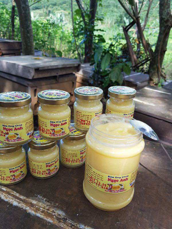 SỈ 1kg sữa ong chúa nguyên chất 100%