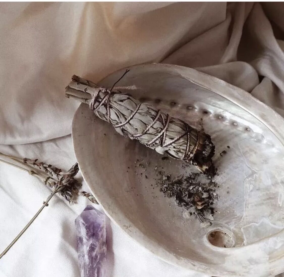 Đĩa ốc Xà Cừ- Đĩa đốt sage
