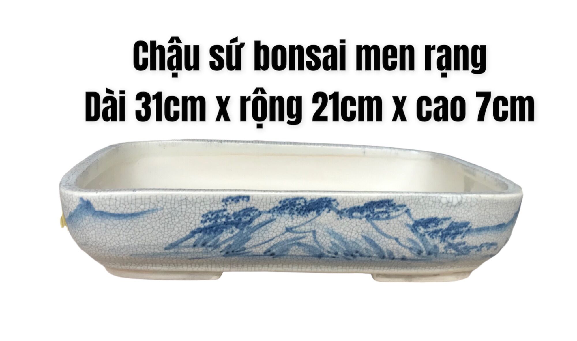 Chậu sứ bonsai men rạng hoa văn vẽ tay size 1.