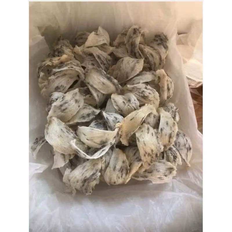  YẾN THÔ CHƯA NHẶT LONG  Yến Thô Nguyên Tổ  Giúp Bé Ăn Ngon Miệng Tăng Cân Bồi Bổ Sức Khỏe Người Lớn Tuổi Làm Đẹp Da                                                      ————⭐️⭐️⭐️⭐️⭐️———— 🔰 Thông tin sản phẩm:  - Xuất Xứ: Việt Nam - HSD: 24 tháng - Tổ yế 