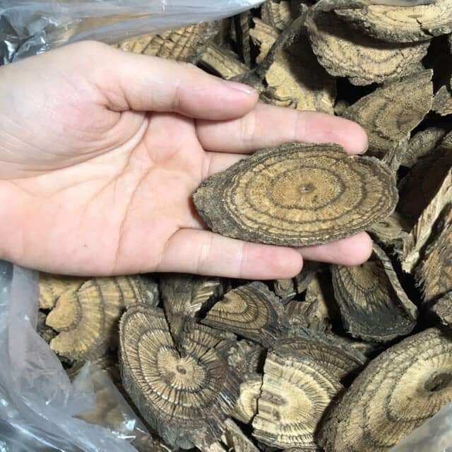 1 kg Cây Gắm Đen khô