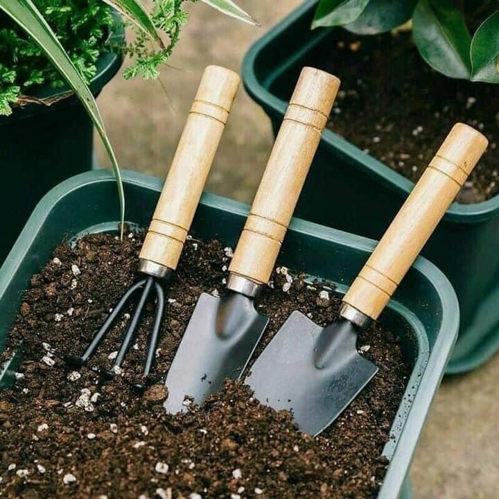 Cuốc Xẻng
BỘ LÀM VƯỜN MINI SÉT 3 CHIẾC CỰC XINH Hàng đẹp.
👉
Bộ dụng cụ mini 3 món gọn nhẹ làm vườn gồm; 1 xẻng, 1 xúc, 1 cào.
👉Sử dụng tiện lợi, kiểu dáng đẹp, nhỏ gọn.
👉 Chất liệu thép không gỉ, chiều dài đầu kim loại 9c