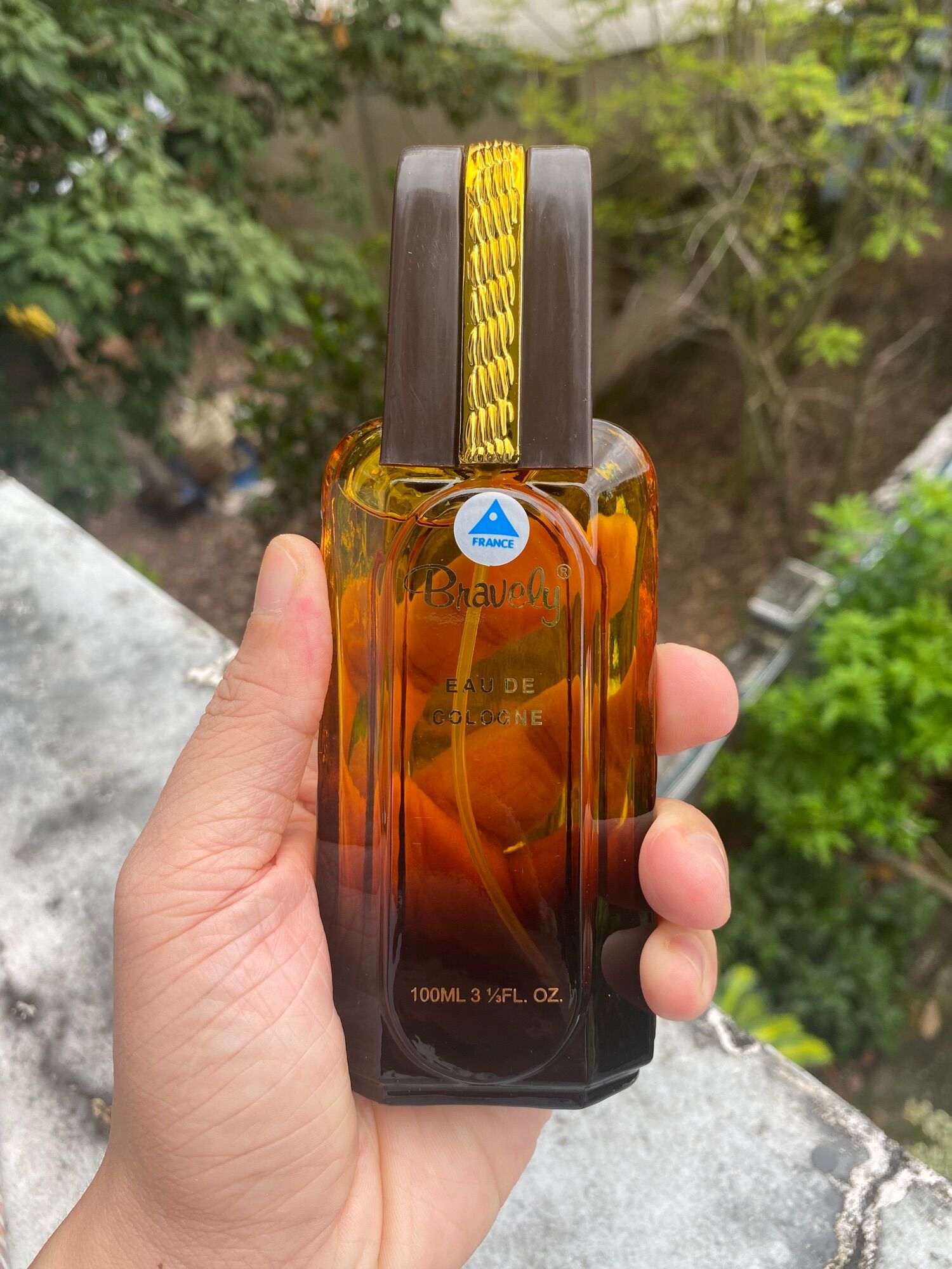 [HCM]Nước hoa ACTIVE Bravely Dành Cho Nam 100ml