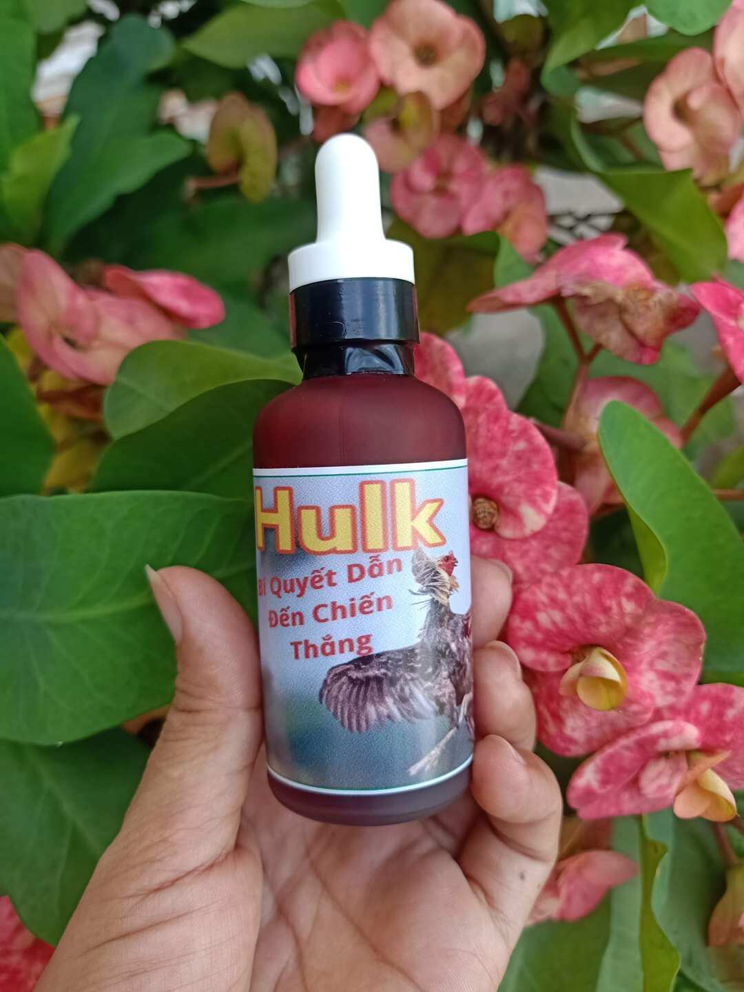 Thuốc nuôi Hulk nuôi gà vô chế độ
