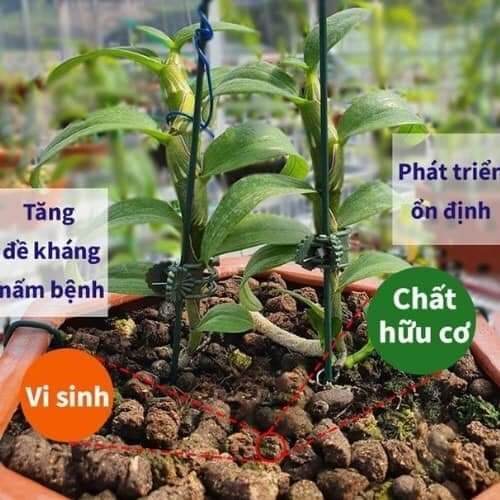 PHÂN BÓN TRÙN QUẾ DẠNG VIÊN NÉN 1KG