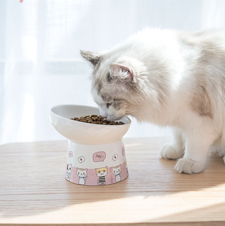 Bát Cho Mèo, Khay Đựng Thức Ăn Cho Mèo Chân Cao Chống Lật Bảo Vệ Đốt Sống