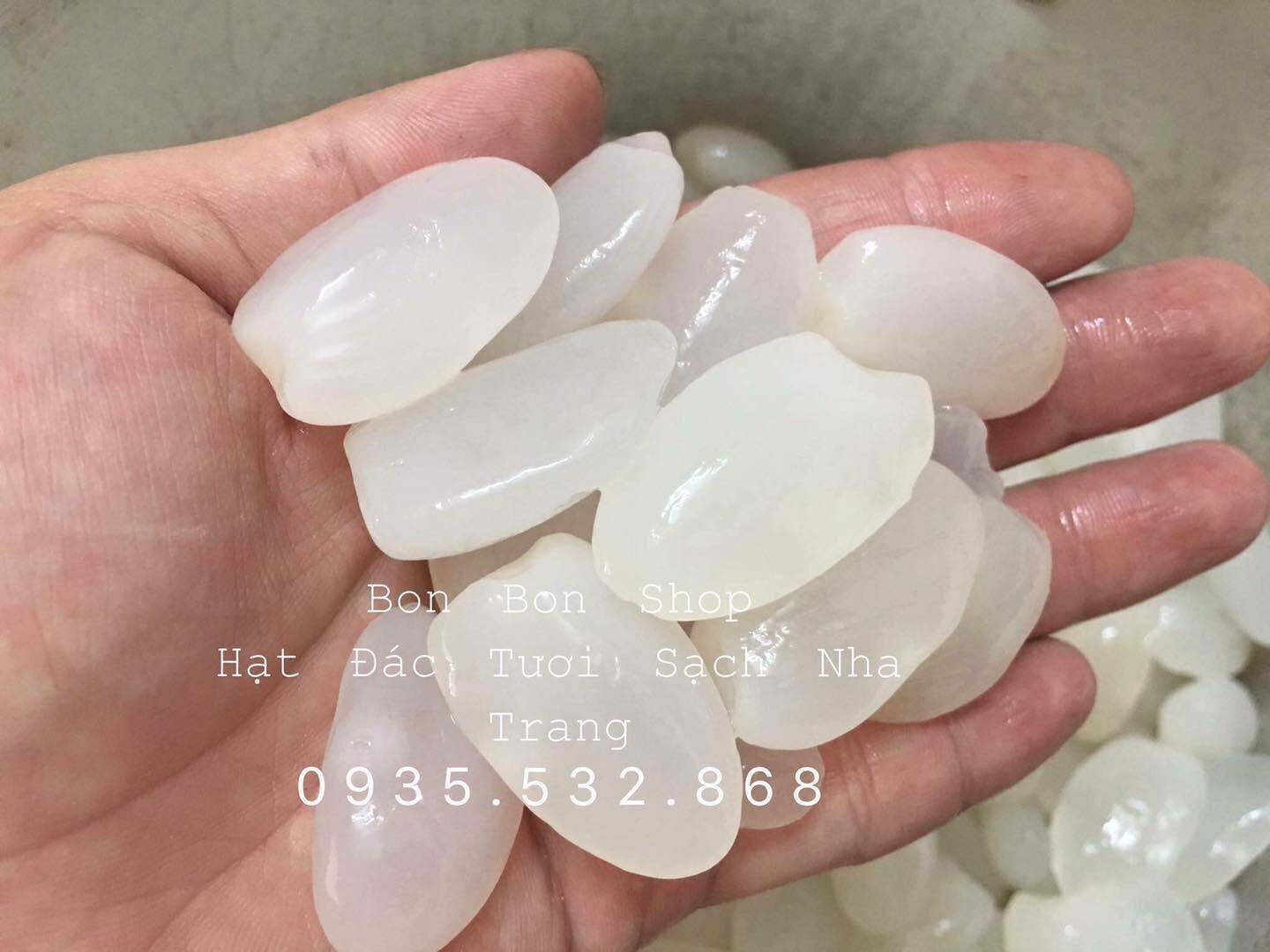 1kg Hạt Đác Tươi Sạch Nha Trang Loại lớn