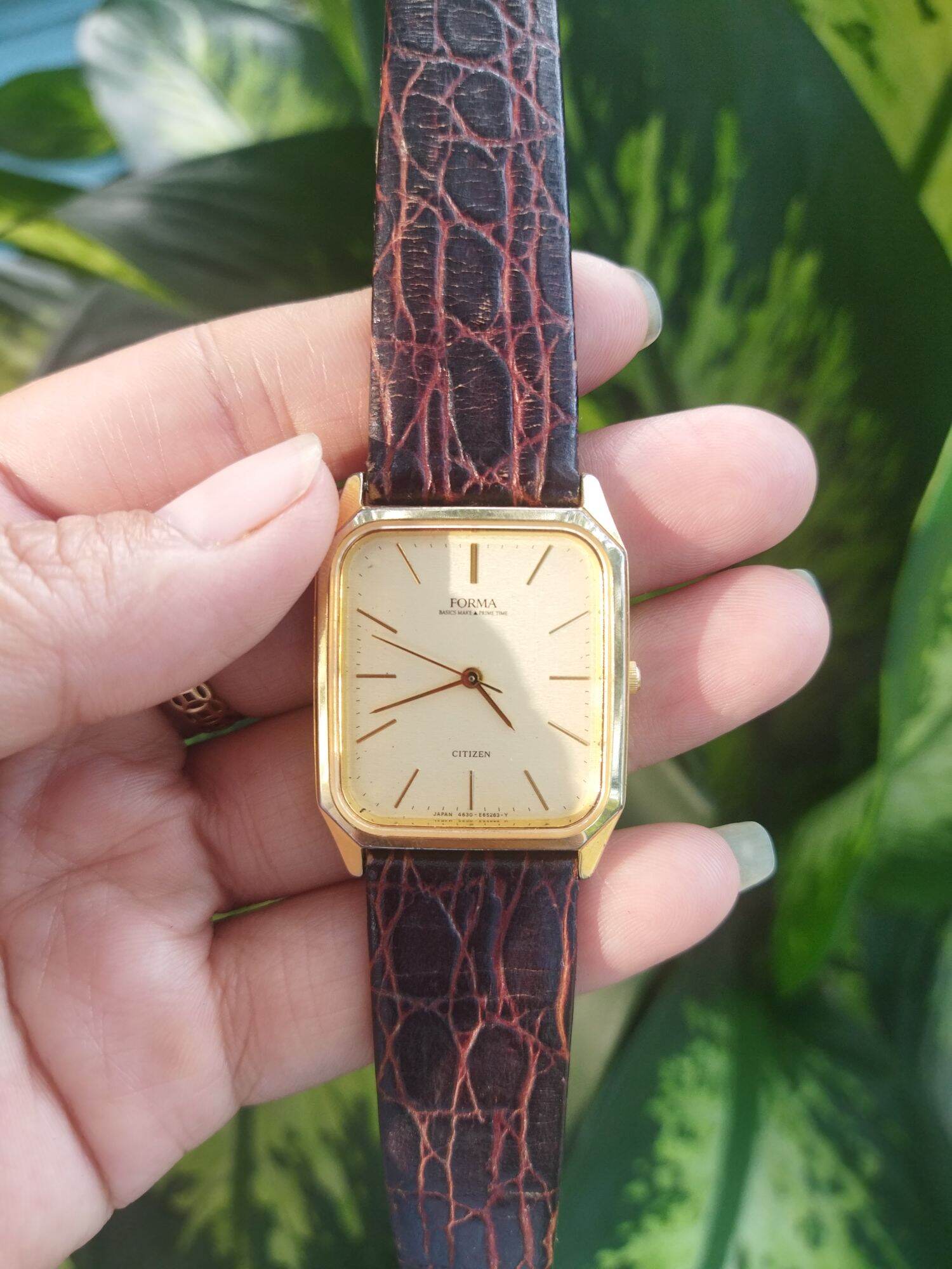 Citizen đồng Hồ giá tốt Tháng 01,2023|BigGo Việt Nam