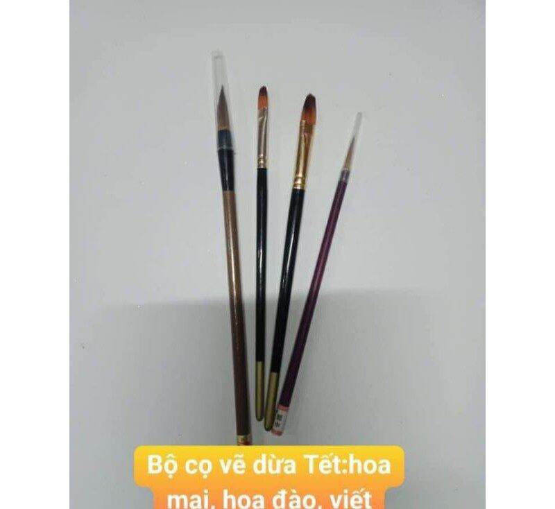 CỌ THƯ PHÁP, OVAN VẼ HOA MAI TRANG TRÍ DỪA TẾT