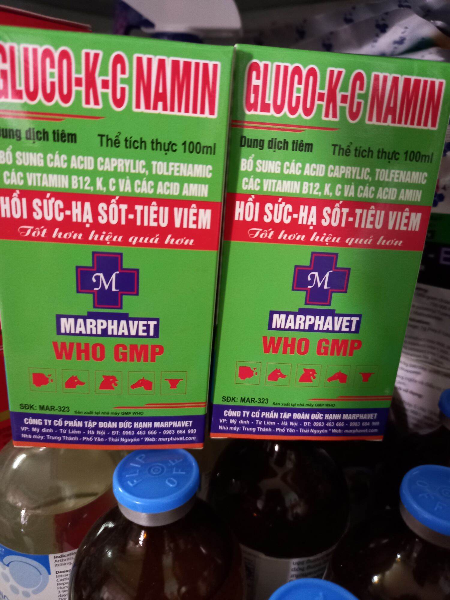 Gluco kc namin,hồi sức,bồi bổ cho thú cưng
