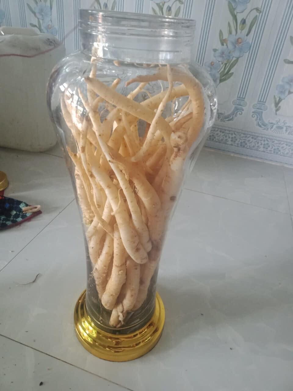 Đẳng sâm tươi hàng chọn 250k/2kg