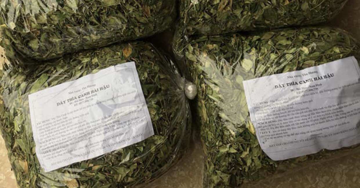 Thìa canh Hải Hậu -Nam Định