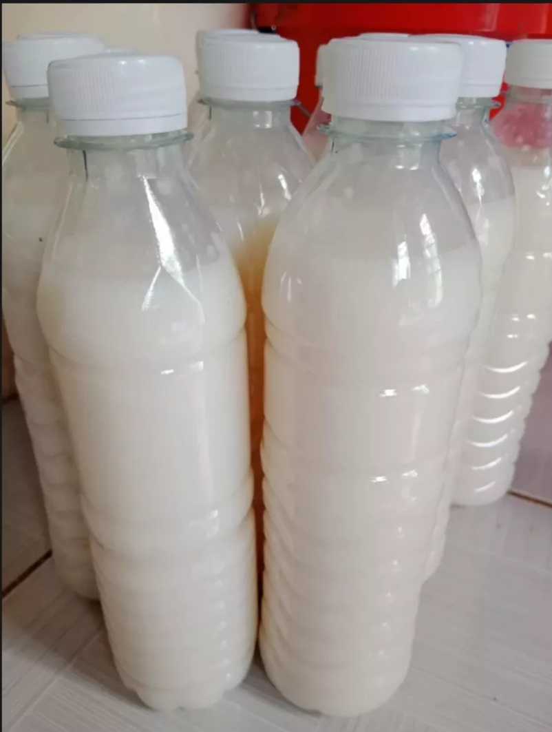 500g cơm mẻ nhà nuôi