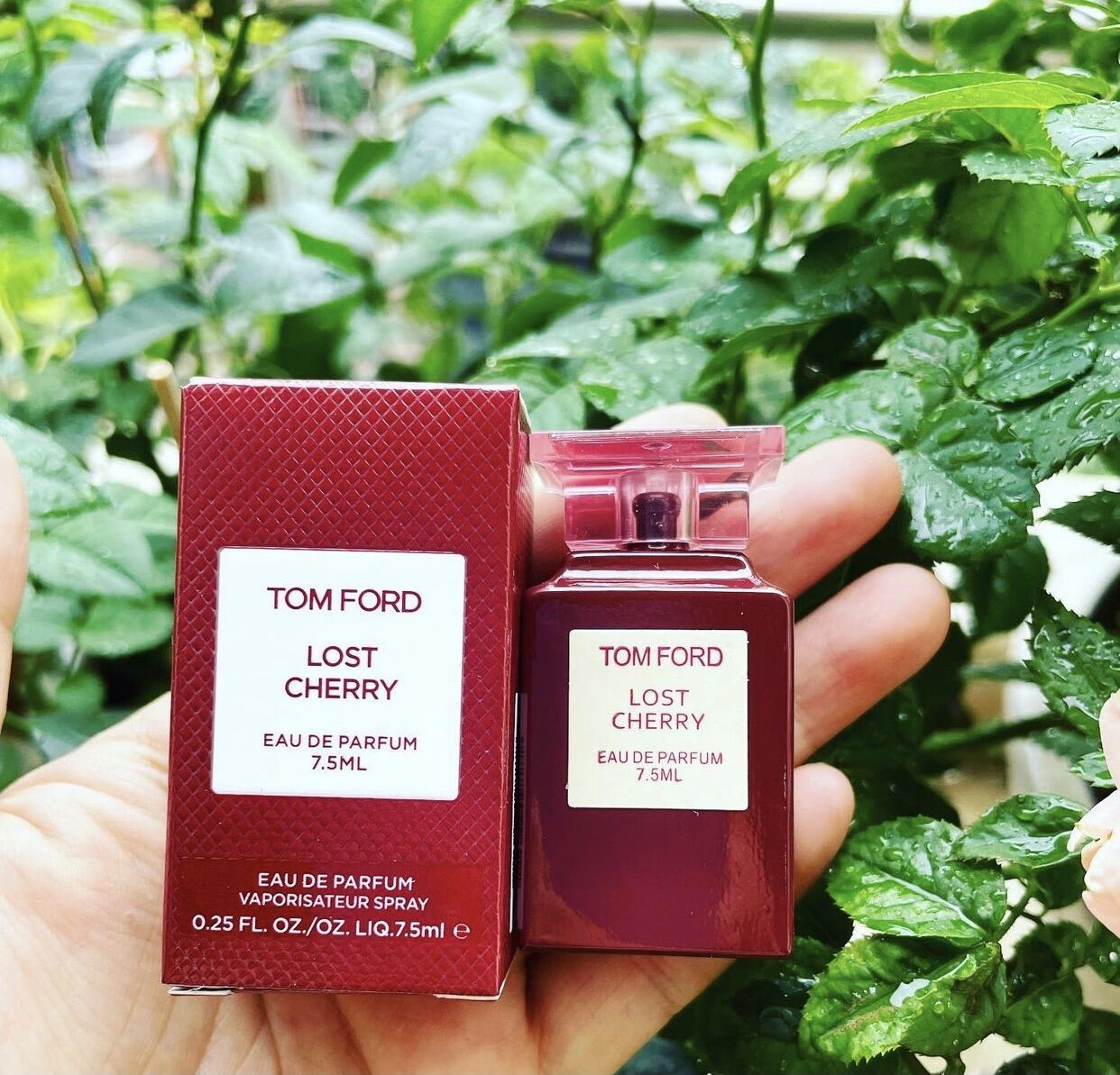 Combo 2 chai tomford mini lost cherry rose prick - MixASale