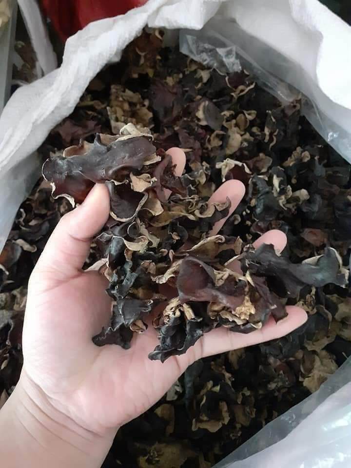 mộc nhĩ đen 500gr ( đặc sản tây bắc)