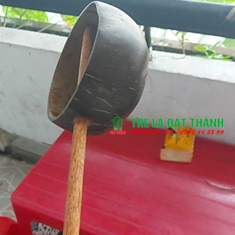 Gáo dừa múc mước tưới cây, múc tinh dầu,gội đầu