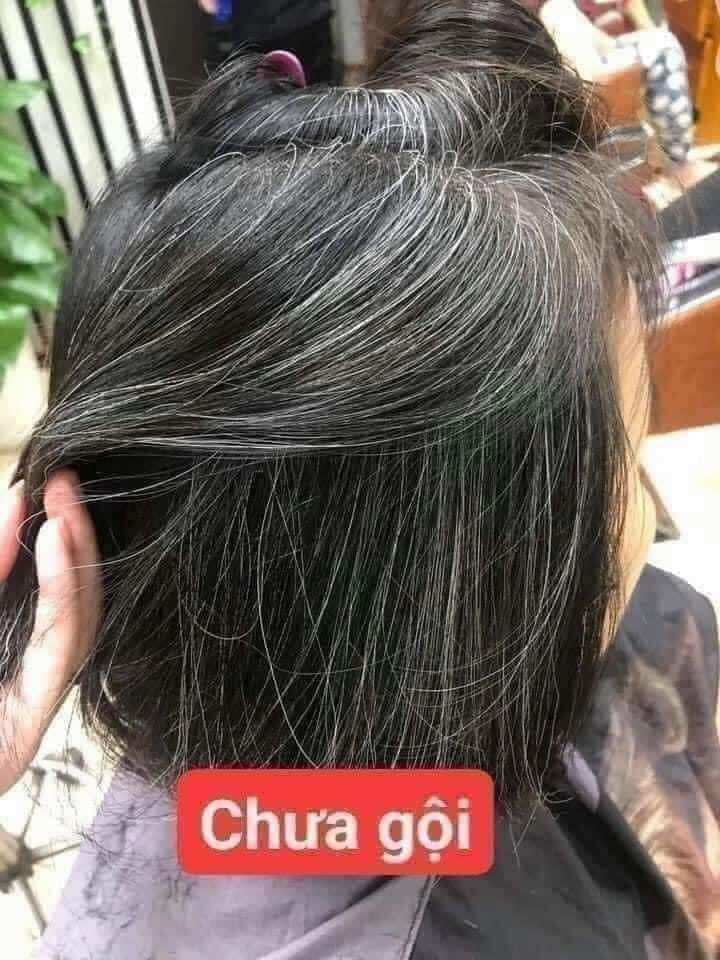 DẦU GỘI PHỦ BẠC NÂU TÓC, ĐEN TÓC CHAI 450ML
