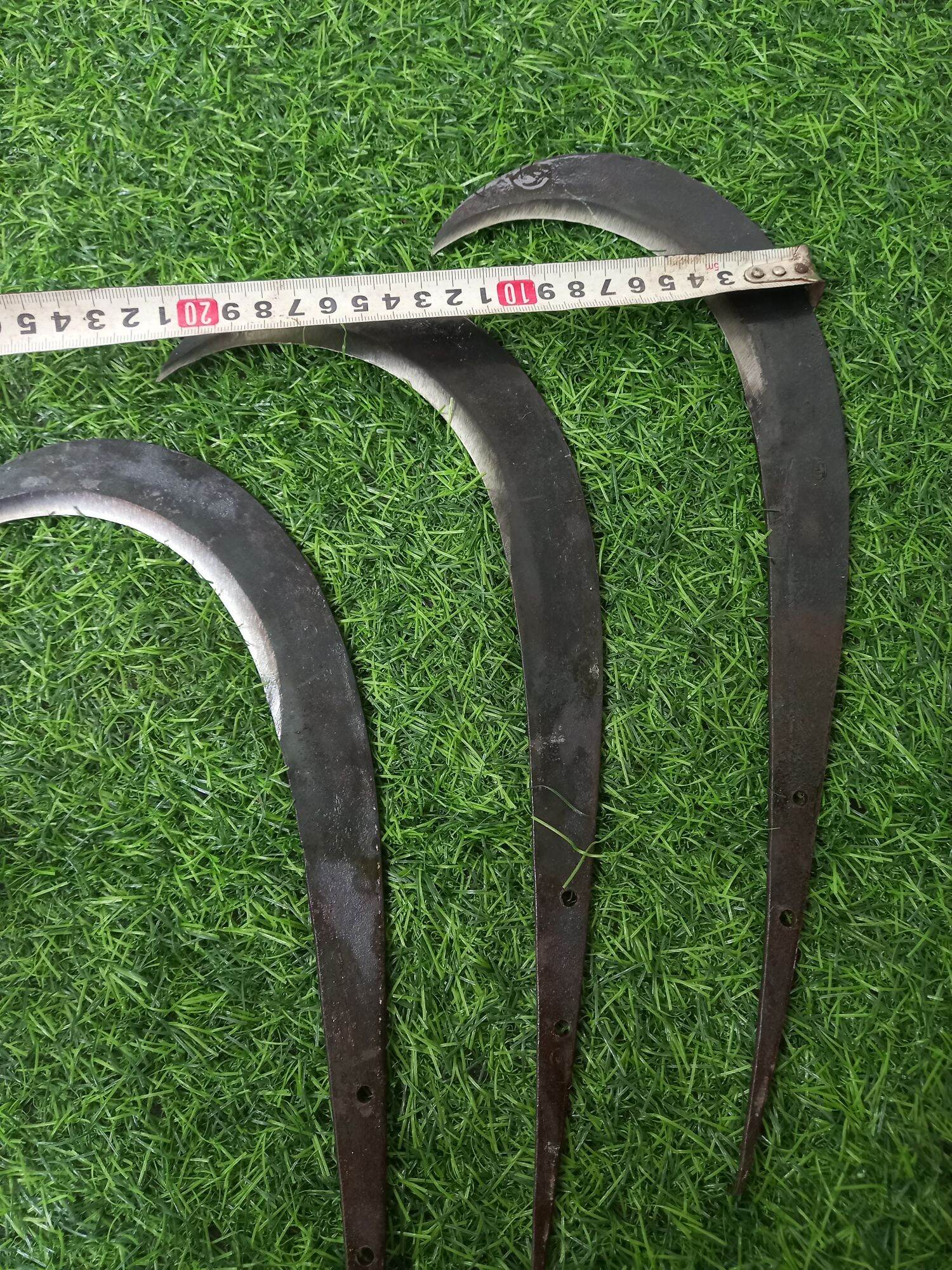 liềm  giựt  nhánh  cây (lớn )
