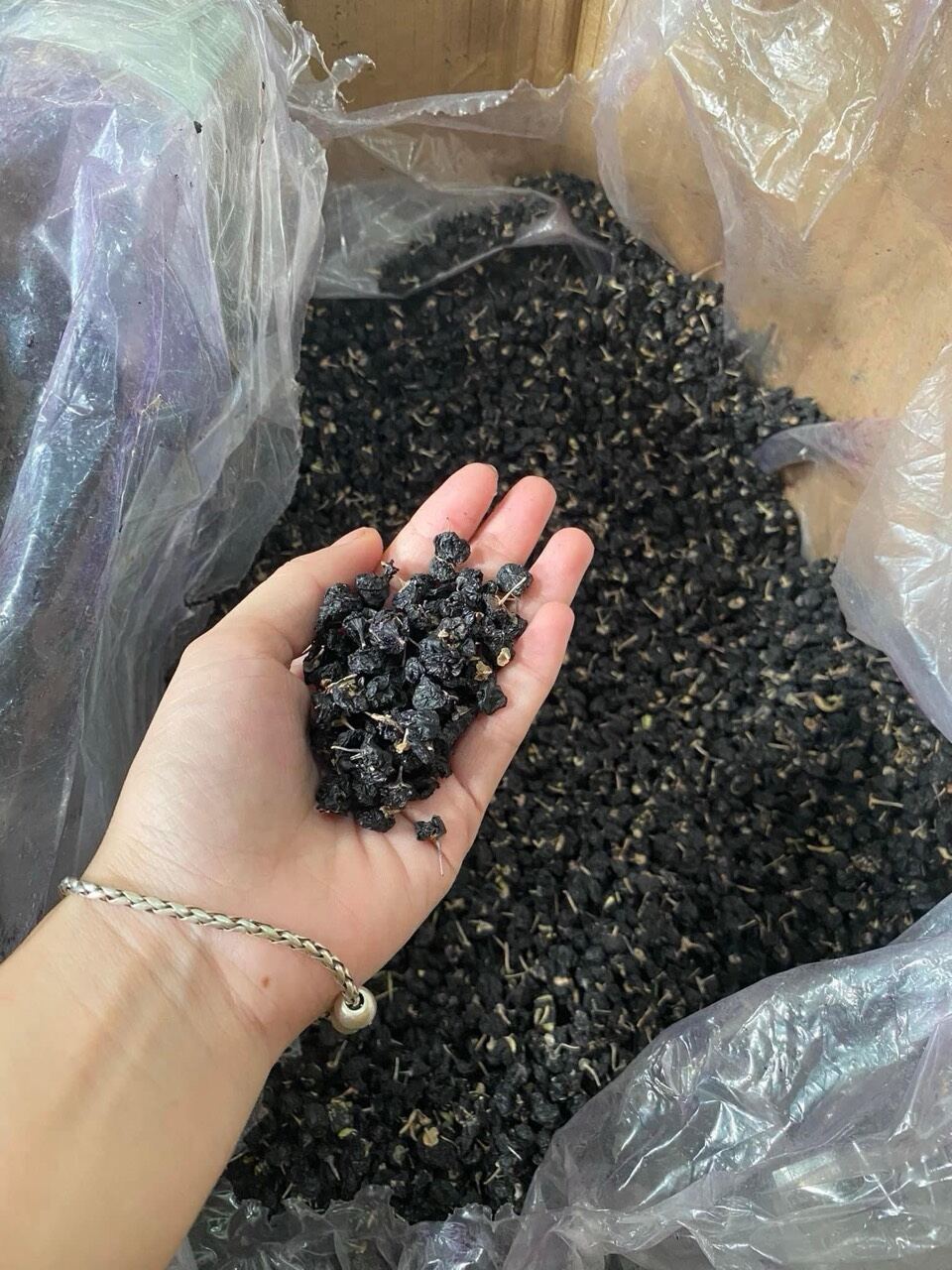 hắc kỷ tử tây tạng