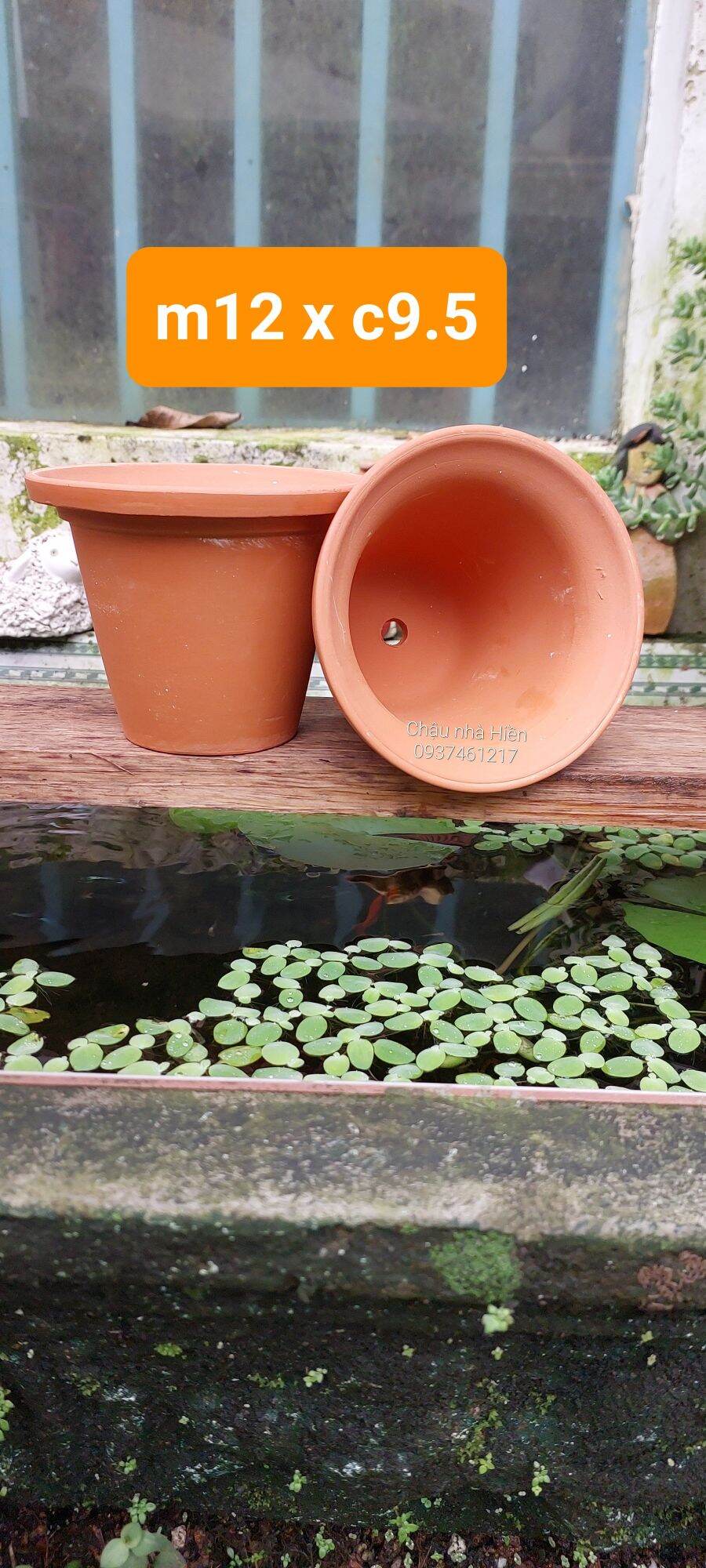Combo 7 chậu đất nung Bình Dương
