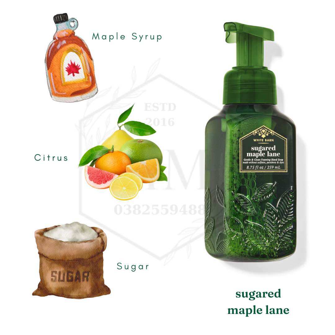 Moomoocos - Nước Rửa Tay tạo Bọt Bath And Body Works Foaming Hand Soap fullsize 259ml