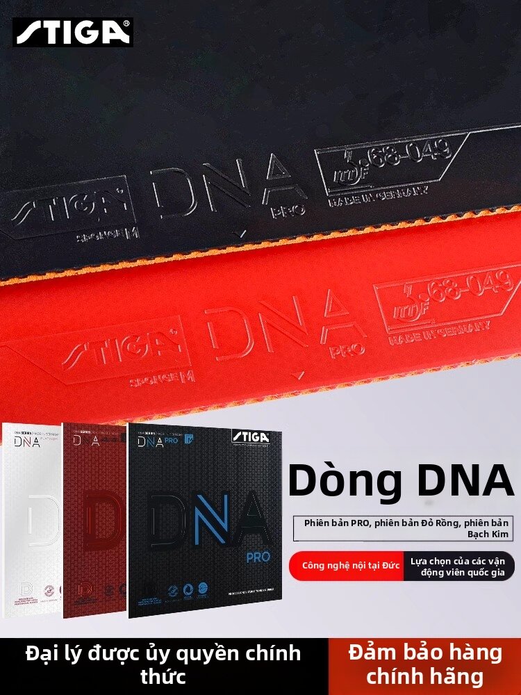 Stiga | Cao Su Bóng Bàn Công Nghệ DNA