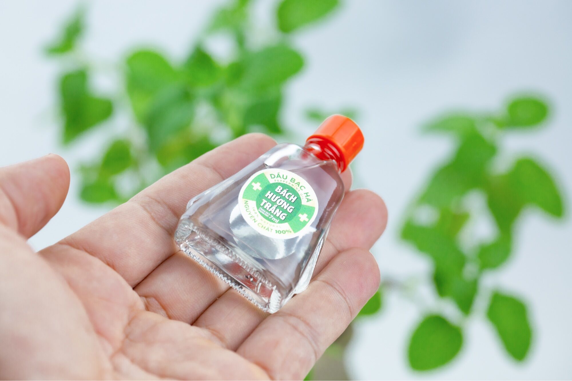Tinh dầu BẠC HÀ 3ml - phù hợp trong phòng kín và trên xe !