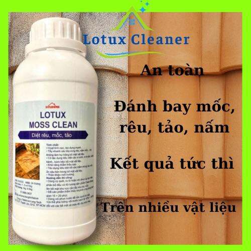 Nước tẩy rong rêu, nấm mốc, tảo, vi khuẩn trên đa vật liệu, dung dịch diệt tảo, vi khuẩn đa năng