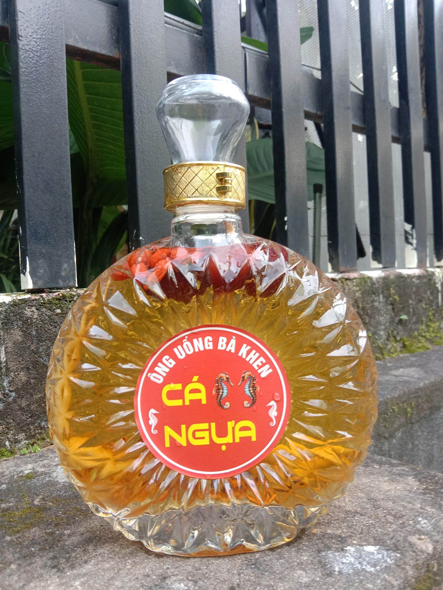 Cá ngựa ngâm sẵn chai XO 650ml