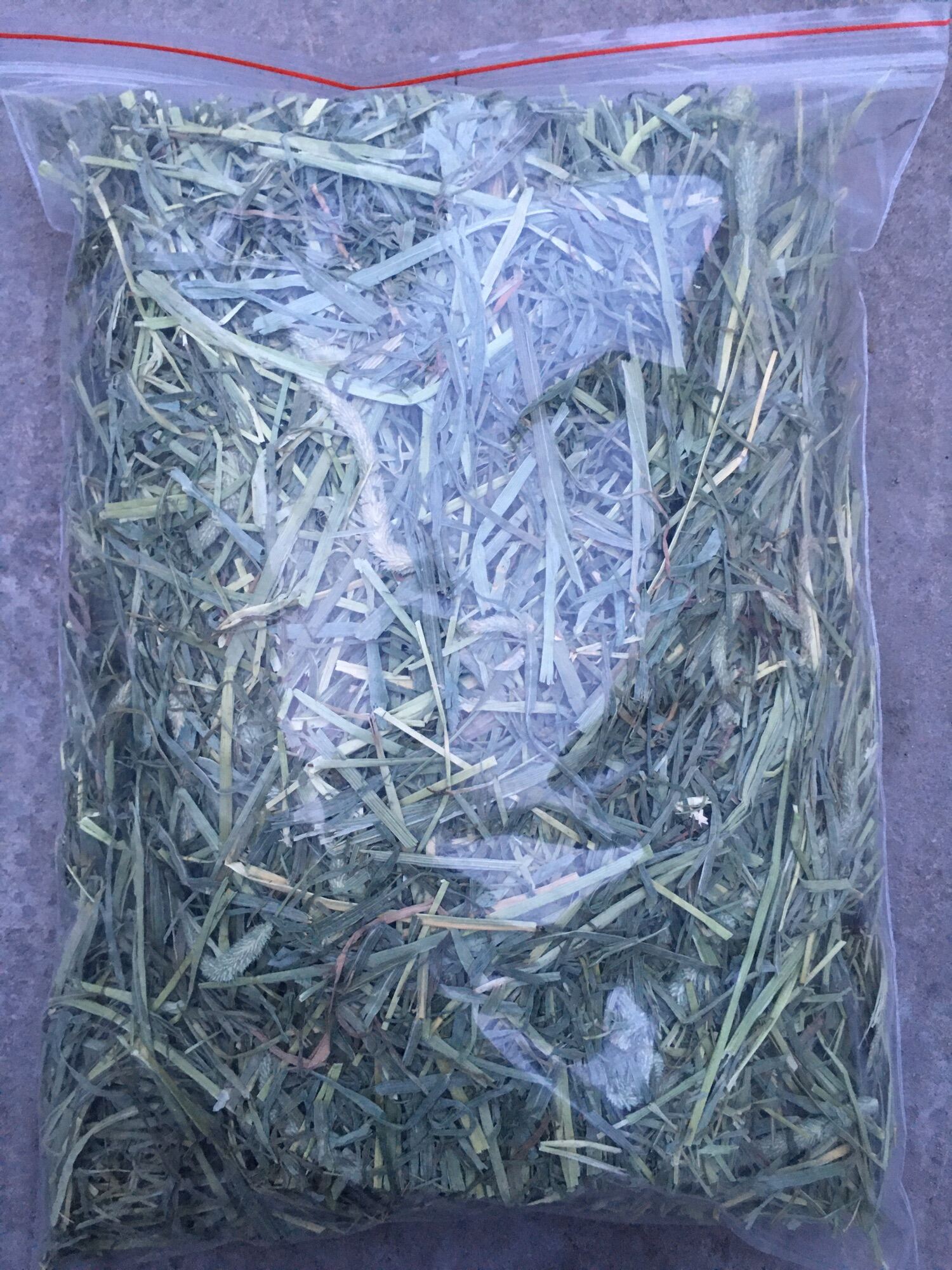 1 kg cỏ khô timothy USA super premium - thức ăn cho thỏ, bọ, sóc bắc mỹ