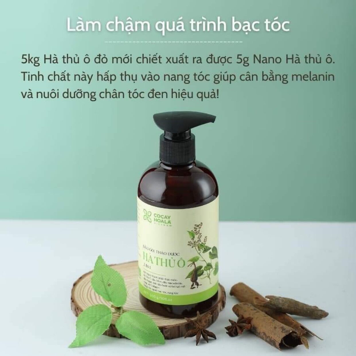 Dầu gội Hà Thủ Ô (300ml)
