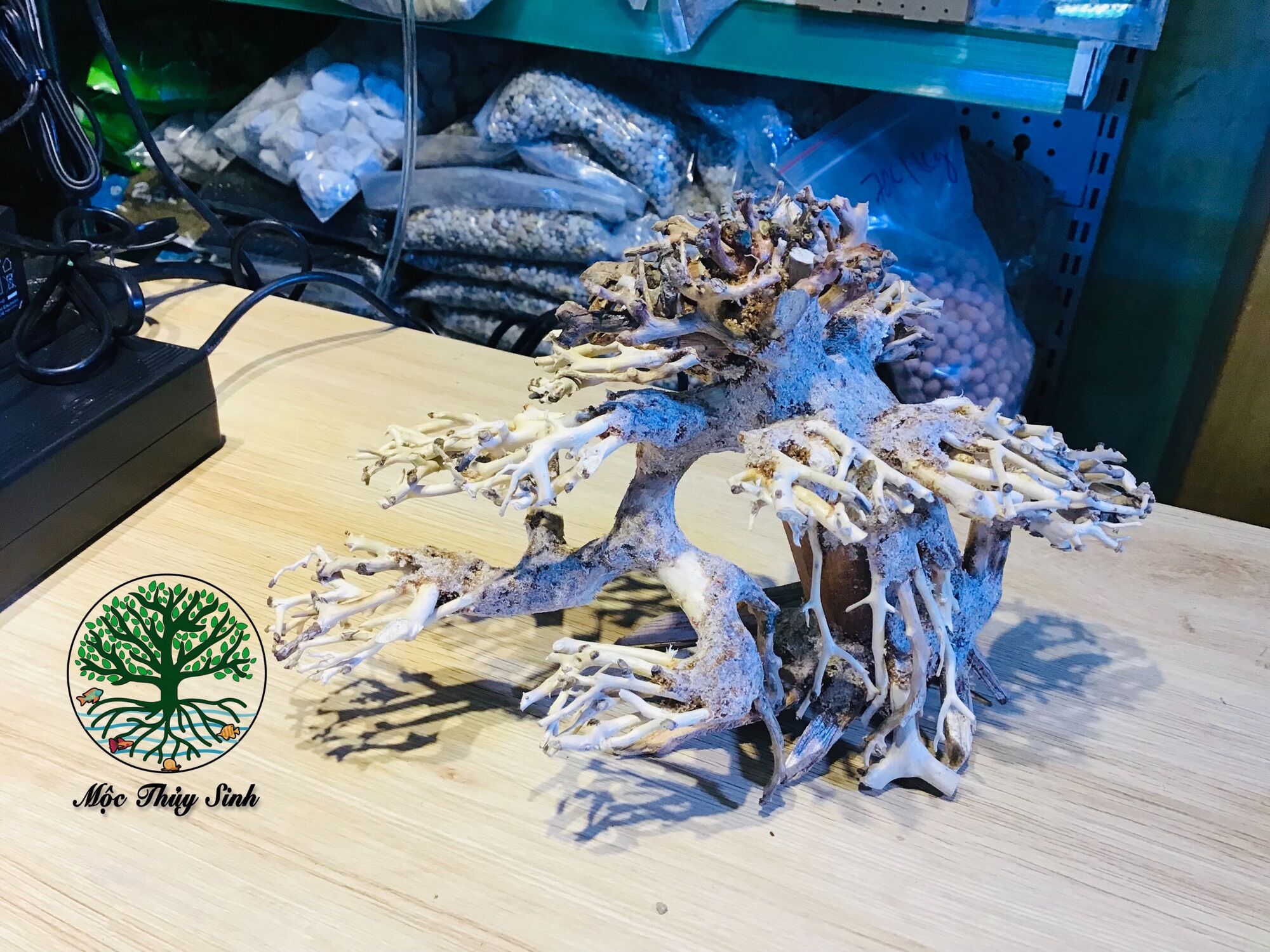 Bonsai lũa gỗ mini dáng thác đỗ đơn dùng cho hồ 30cm-60cm | thiết kế cổ thụ cho hồ thuỷ sinh