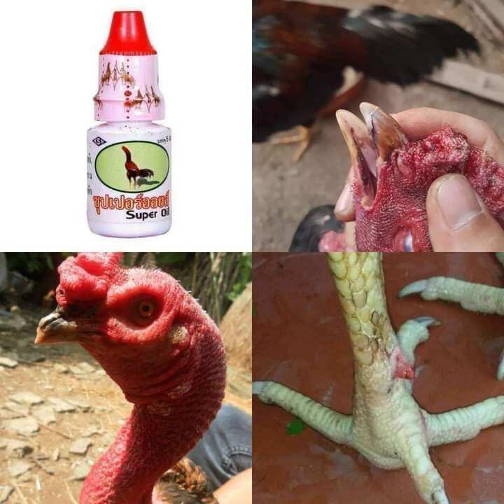 thuốc kích mỏ nước cao cấp