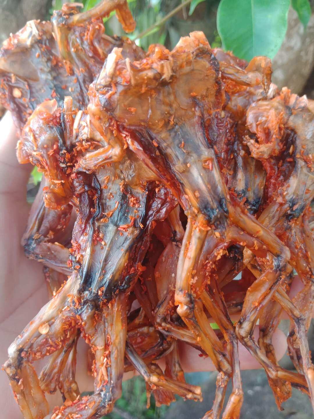 Khô ếch ướp xả ớt Đồng Tháp