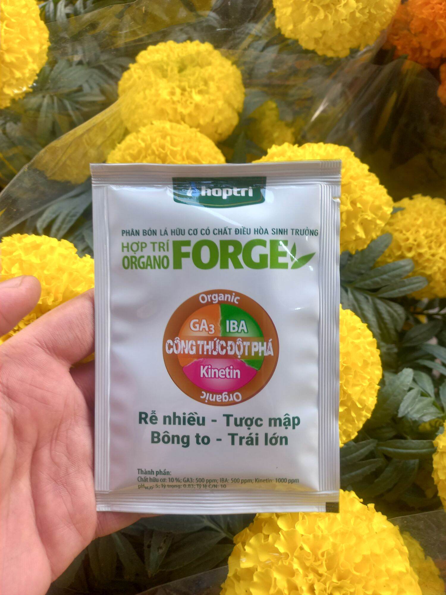 Phân bón lá hữu cơ Hợp Trí Organo Forge 25ml