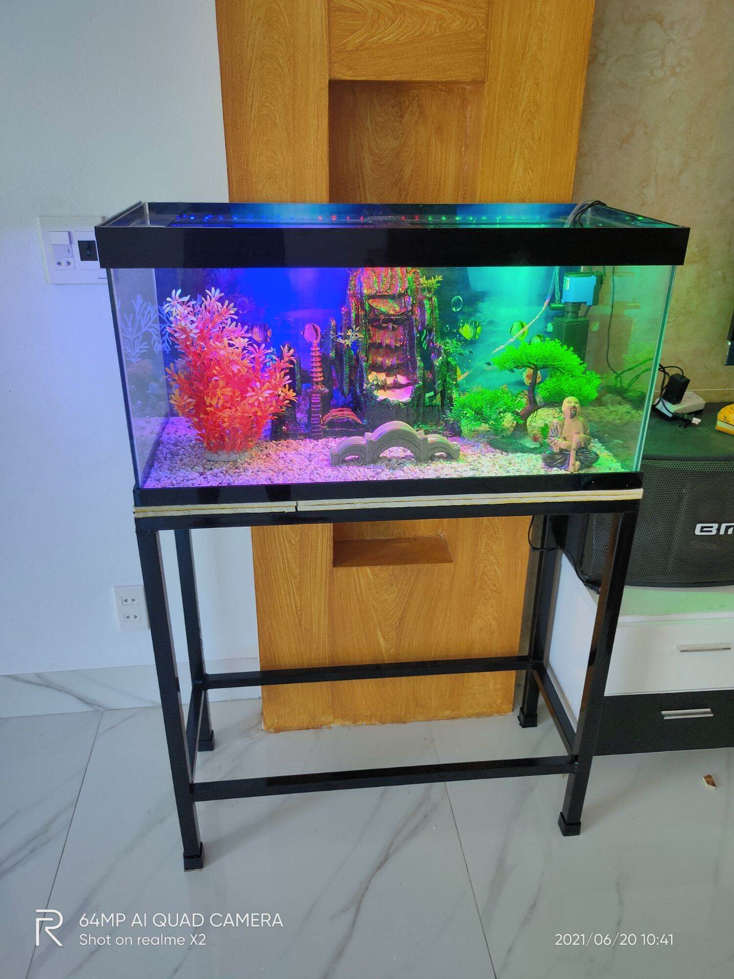com bô hồ cá dài 80cm *35*40 kính 5 ly, bể cá, máu lọc, oxi ,đèn led, suối cát, cầu ,ông câu cá, rong nhựa, sạn rải nền. sản phẩm như hình