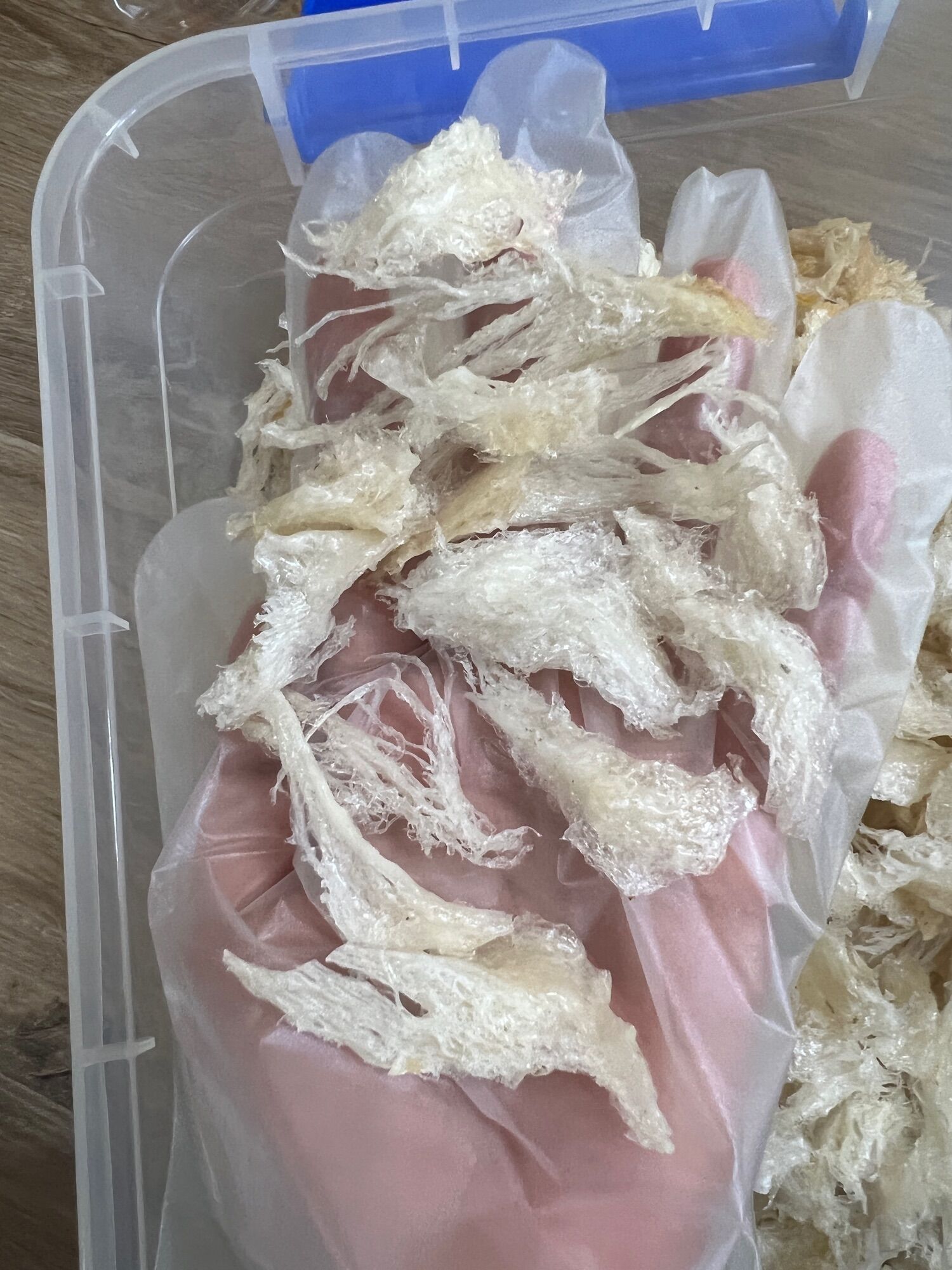 Yến sào - Chân yến rút lông 100gr