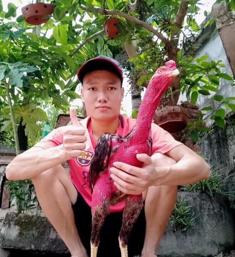 Breast tie chicken bottle
