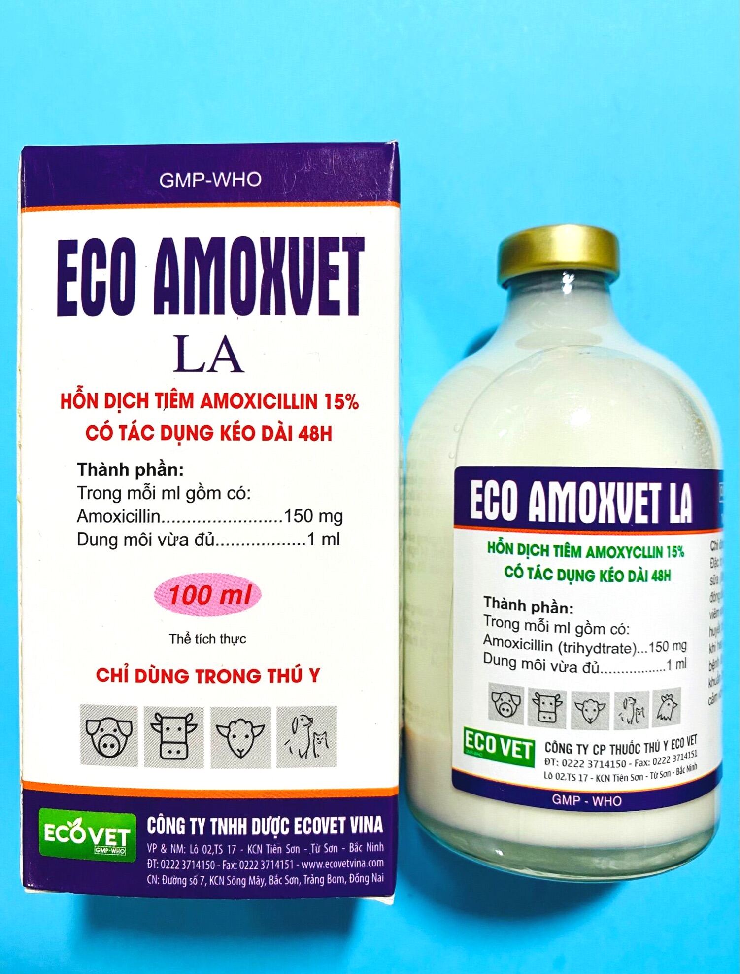 Eco Amox LA(100ml) Viêm da, viêm khớp, viêm phổi, viêm tử cung, viêm vú, mất sữa